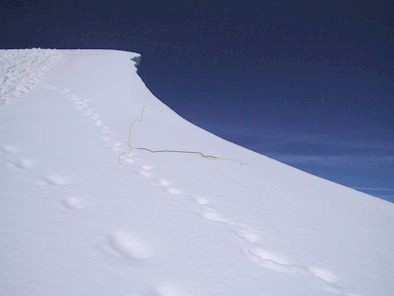 Risikowahrnehmung
